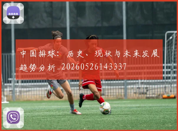 中国排球：历史、现状与未来发展趋势分析_20260526143337