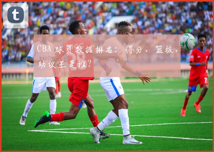 CBA 球员数据排名:得分、篮板、助攻王是谁?
